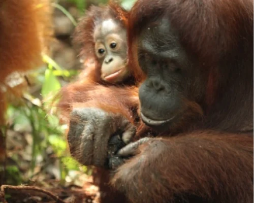 WhatsApp Image 2025-12-16 at 17.38.34