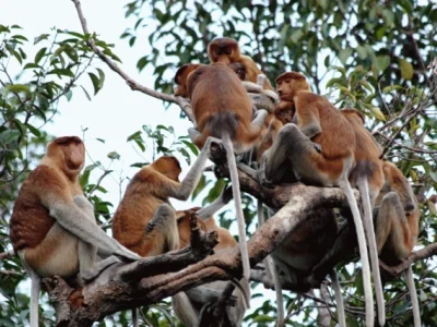 WhatsApp Image 2025-12-16 at 17.38.35