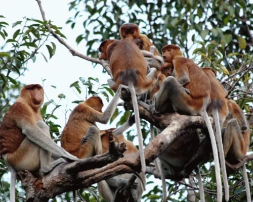 WhatsApp Image 2025-12-16 at 17.38.35