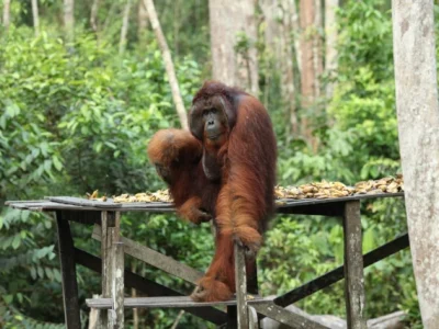 WhatsApp Image 2025-12-16 at 17.38.36