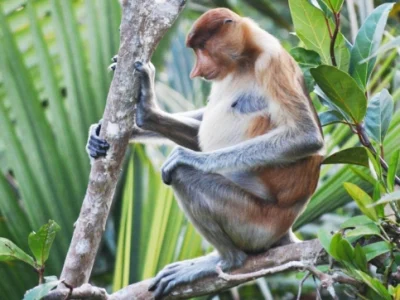 WhatsApp Image 2025-12-16 at 17.51.11 (1)