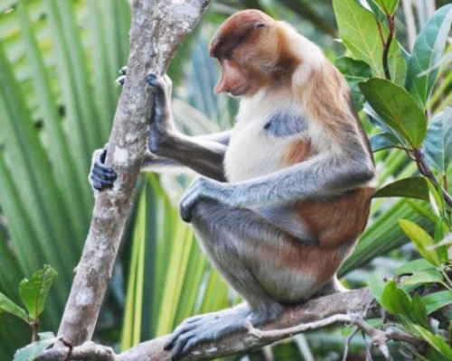 WhatsApp Image 2025-12-16 at 17.51.11 (1)