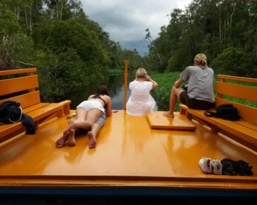 WhatsApp Image 2025-12-16 at 17.51.16 (1)