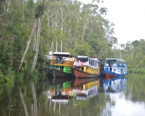 WhatsApp Image 2025-12-16 at 17.51.26