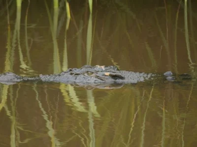 WhatsApp Image 2025-12-16 at 17.52.03 (1)