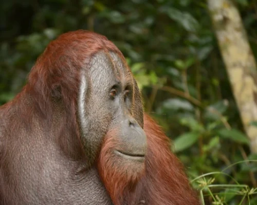 WhatsApp Image 2025-12-16 at 17.52.04