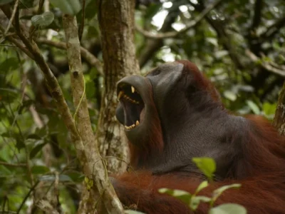 WhatsApp Image 2025-12-16 at 17.52.07