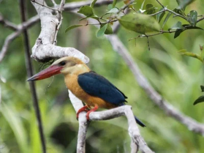 WhatsApp Image 2025-12-16 at 17.52.12