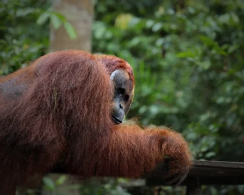 WhatsApp Image 2025-12-16 at 17.52.16