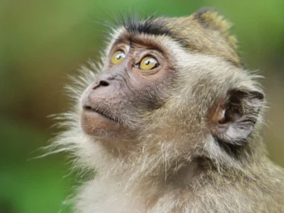 WhatsApp Image 2025-12-16 at 17.52.18